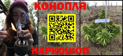 прущие грибы Изобильный